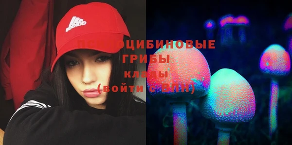скорость Лиски