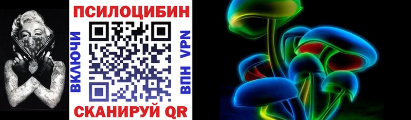 Псилоцибиновые грибы Psilocybine cubensis  Медынь 